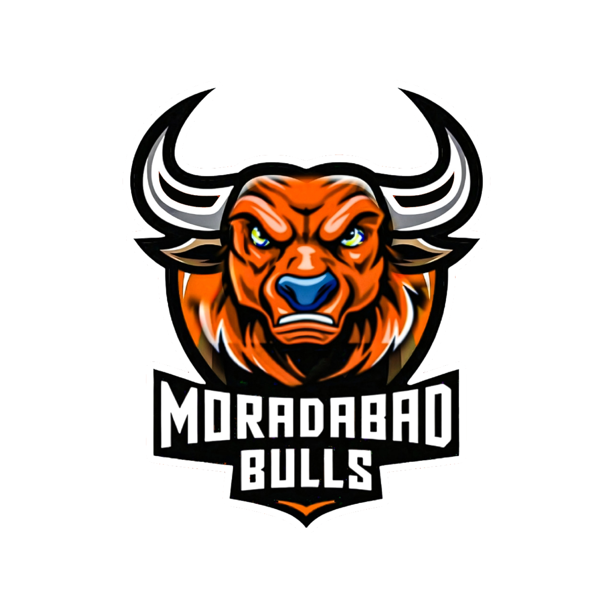 Moradabad Bulls