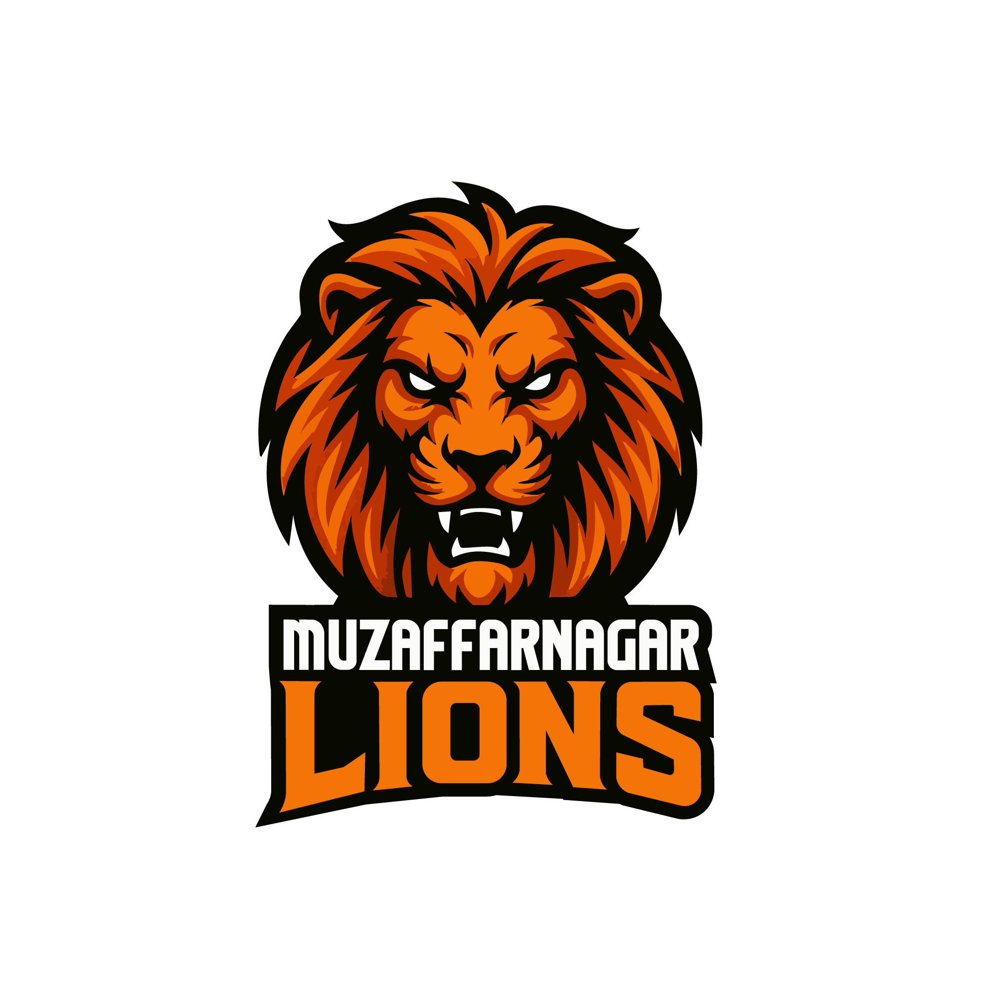 Muzaffarnagar Lions